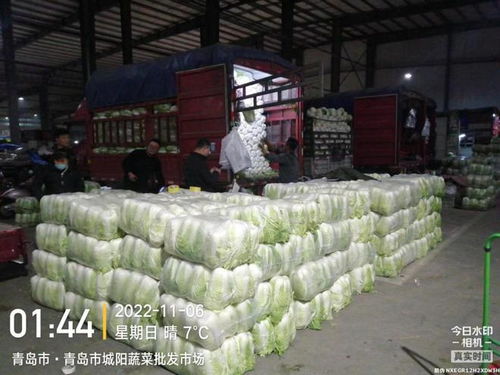 青島五大批發(fā)市場(chǎng)保障市民“菜籃子”供應(yīng)，零售價(jià)格持續(xù)走低