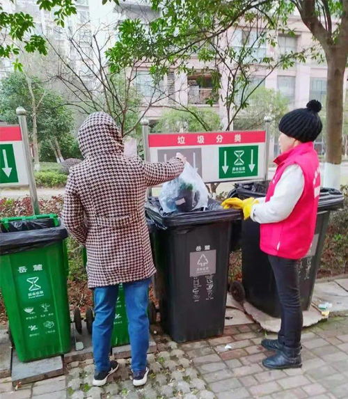 探訪長(zhǎng)沙市生活垃圾分類示范街道 城市生活垃圾精準(zhǔn)治理新樣本